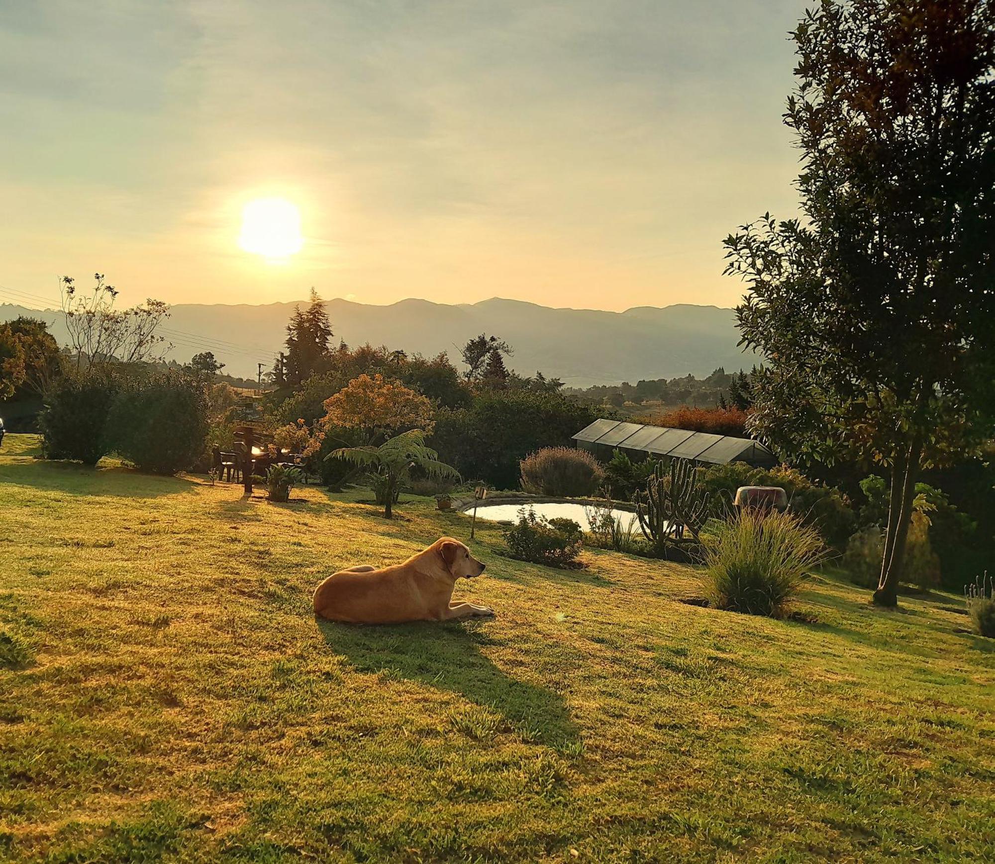 Aldea Movimiento Guest House Subachoque Exterior photo
